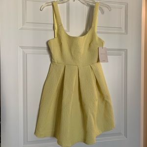 Zara Leopard Mini Dress